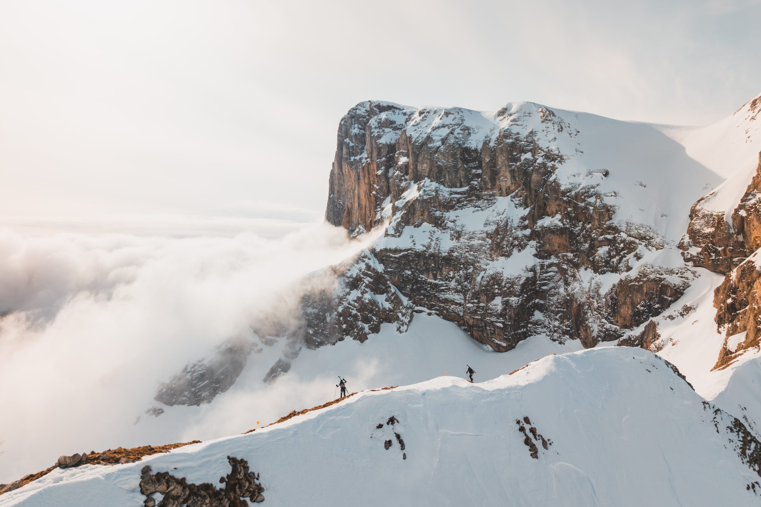 La Grande Trace Hiver — Pure Films